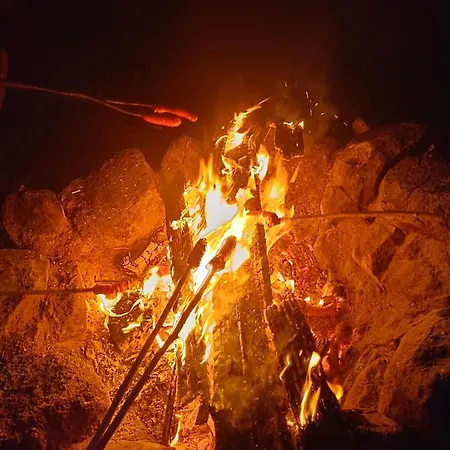 Alex Camping Szczecinek