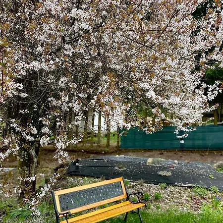 Campingplatz Alex *