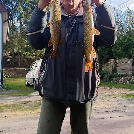 Alex Kamp alanı