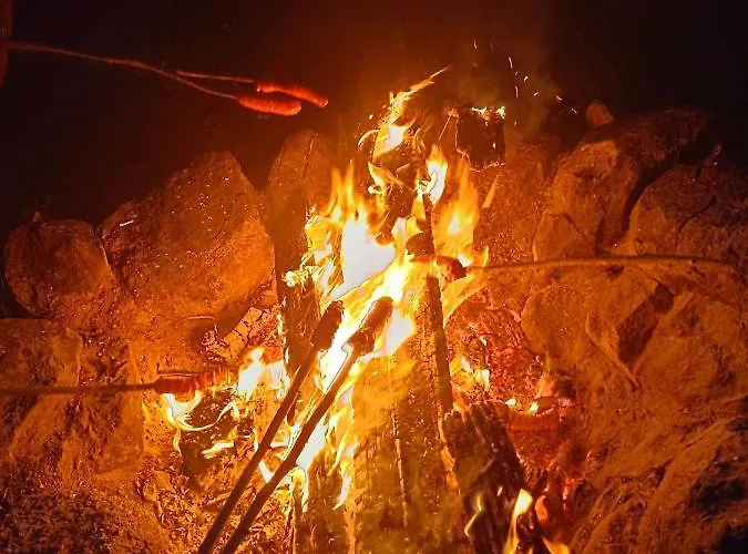 Alex Camping Szczecinek